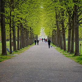 城市飲用水源地保護